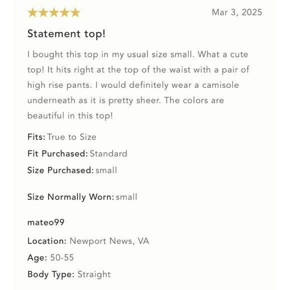 NWT Size L - ANTHROPOLOGIE Sheer Embroidered Mesh Blouse (NWT US$128) - Picture 12 of 16